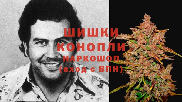 прущие крисы Богданович