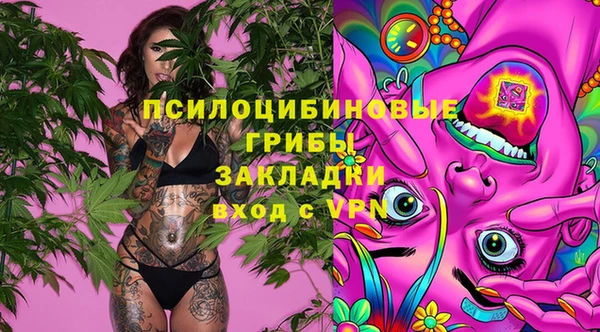 прущие крисы Богданович