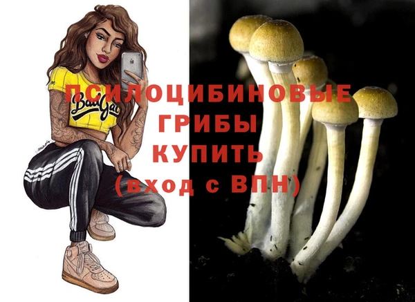 MDMA Premium VHQ Богородск