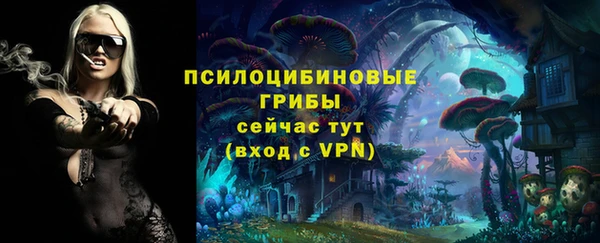 COCAINE Богородицк