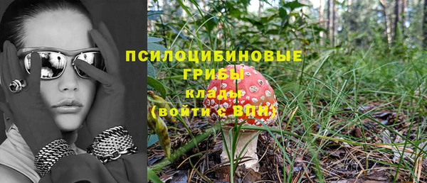 прущие крисы Богданович